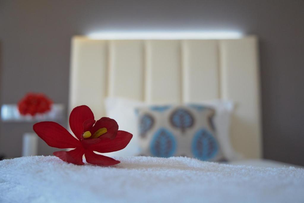 Hotel Azinheira By Ridan Hotels Fátima Habitación foto